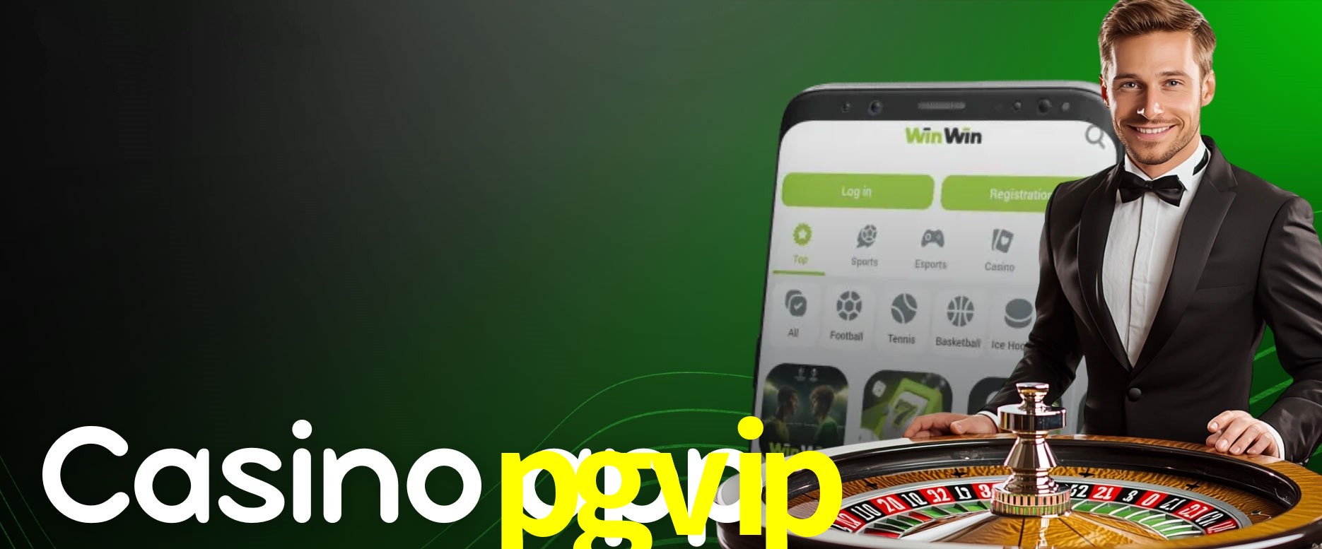 API Integration pgvip
