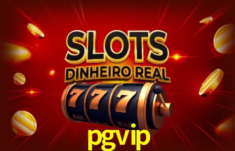 Security Systems pgvip