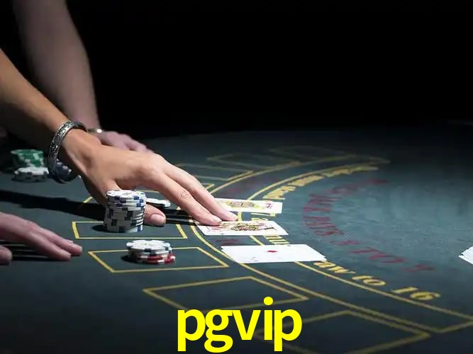 API Integration pgvip