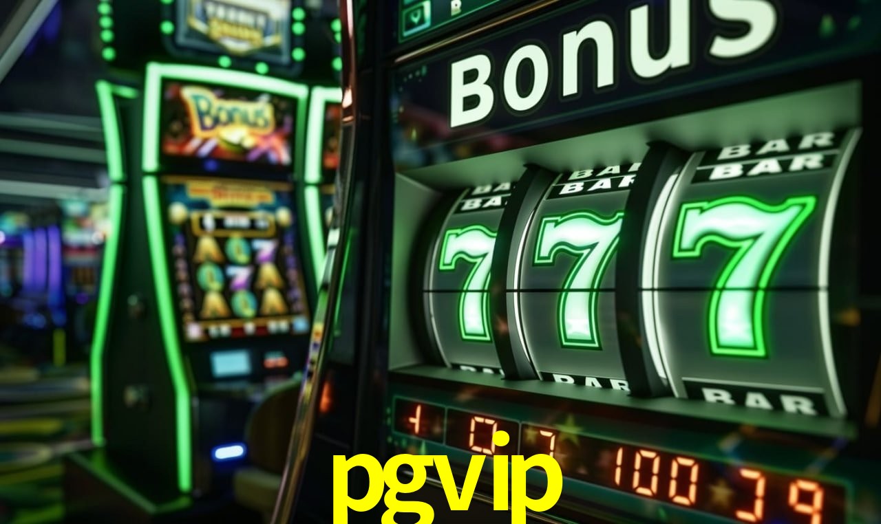 Bonus Features pgvip
