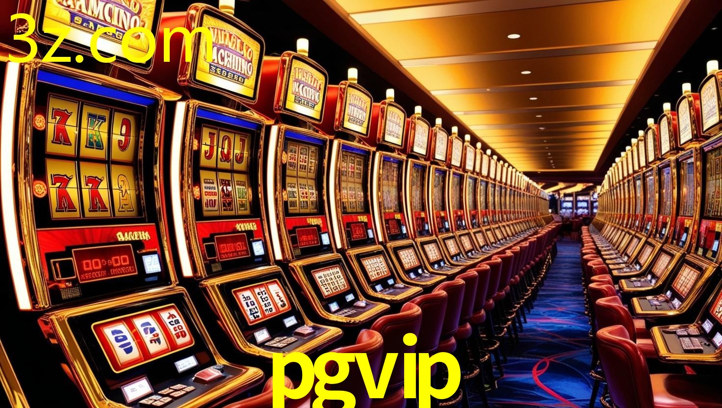 PGVIP.COM